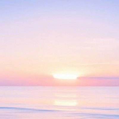 云开·全站APP截图